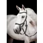 Rambo New Micklem2 Competition Bridle With Reins Black